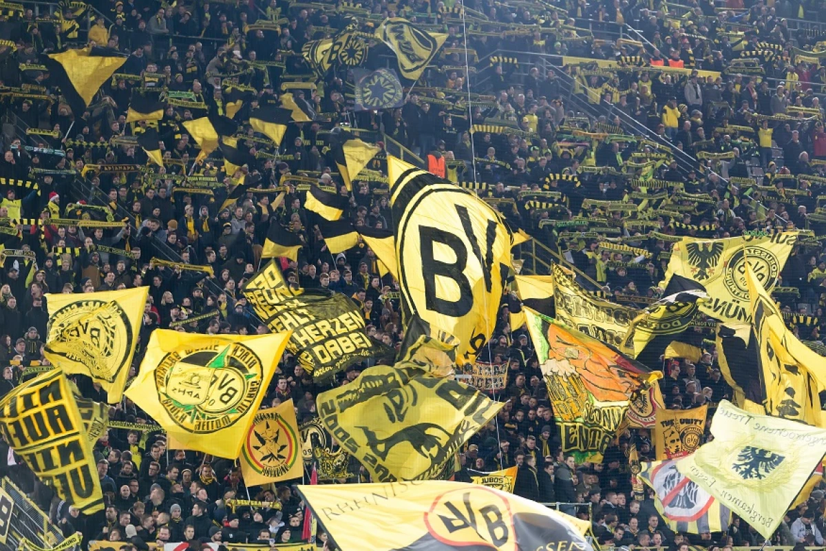Borussia Dortmund znalazła już następcę Erlinga Haalanda! Klub ogłosił nowy transfer